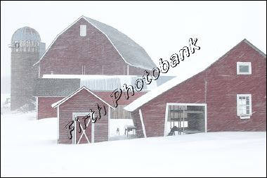 barn_juxtaposition__9747.jpg