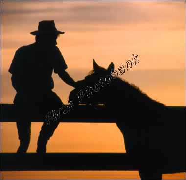 cowboy_on_fence_with_horse.jpg