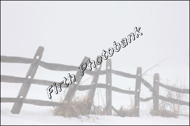 crooked_fence_img_8403.jpg