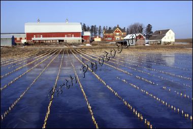 kelzer_farm_ice_field_a6d3b.jpg