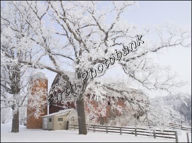 kloos_farm_winter_300_a6d3e.jpg
