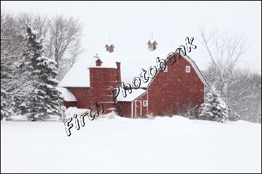 snowstorm_on_the_farm_a6d41.jpg