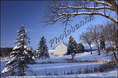 waconia_grey_barn__5628.jpg