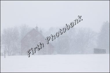 wheres_the_farm_img_8559.jpg