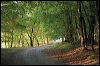 Charlson Drive 0086