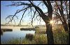 Stone Lake sunrise 7247