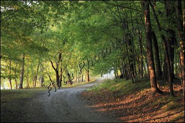 charlson_drive_0086_1.jpg