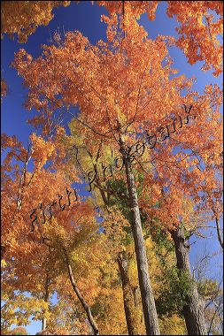 charlson_farm_2061_1.jpg