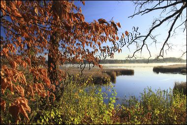stone_l_sunrise__7257_1.jpg