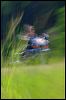 Seaweed Cruiser shrp #A6E00.jpg