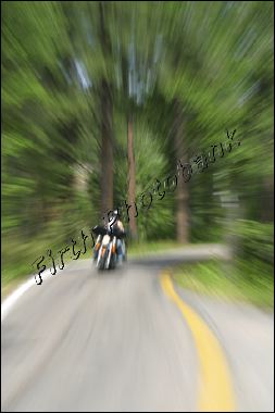 woodlandzoom2__77dpi__a6dff.jpg