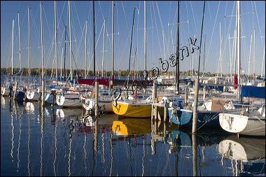 bunch_a_sailboats__wayza_31.jpg