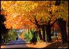 Fall Street Scene Bayfield WI.tif