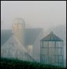 Foggy Farm 0009.tif