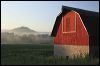 Foggy Morning Barn  Backroads Wisconsin _1211.JPG