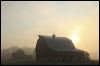 Foggy Morning Farm Scene WI _1250.JPG