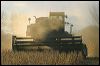 Soybean Harvest  WI _4300.jpg