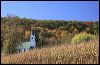 Wisconsin Country Church  _9098.tif