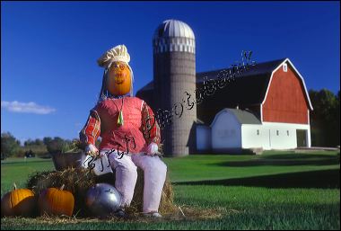 scare_crow_with_barn_doo_35.jpg