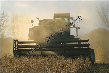 soybean_harvest__wi__4300.jpg