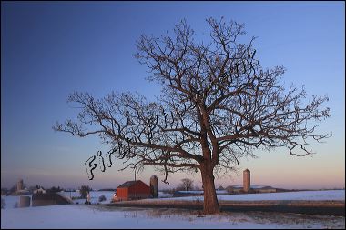 winter_wisconsin_farm_sc_3d.jpg